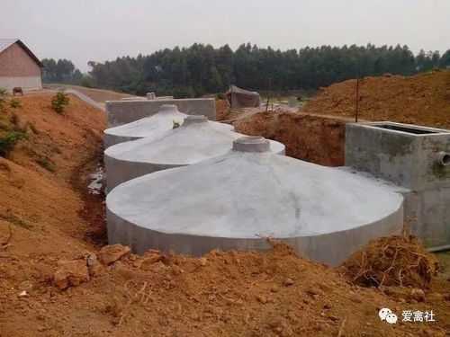 7条畜禽养殖污染防治知识及工程总承包服务