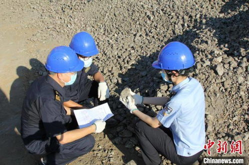 南宁海关严把国门关，退运3万吨“洋垃圾”筑牢生态防线