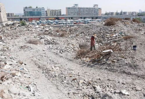 抚琴环保 拆除老会展，开启建筑废弃物资源化利用新篇章